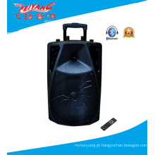 New Arrival 12 polegadas Professional Trolley Speaker com tampa Araneid